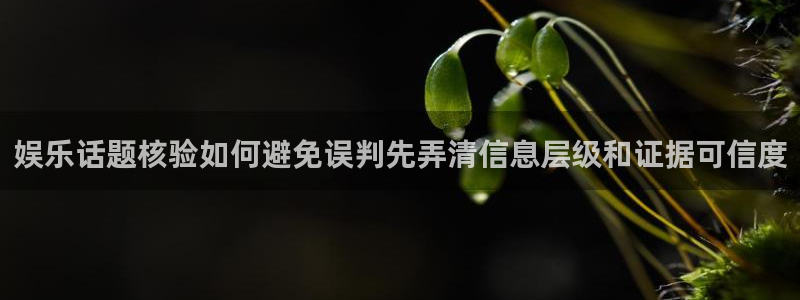 黑料事件后续进展