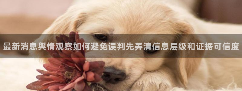 黑料爆料后续进展