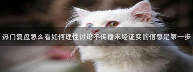 黑料爆料证据梳理