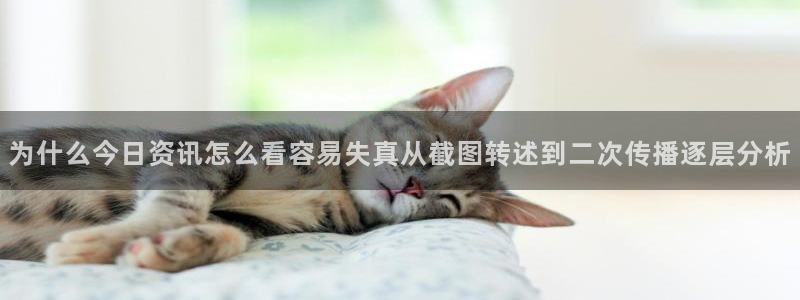 网红黑料真伪核验