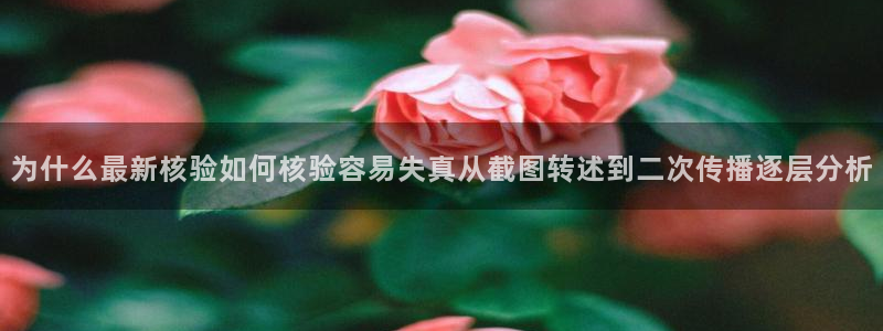 黑料爆料当事人回应