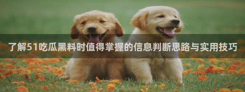 娱乐黑料后续进展