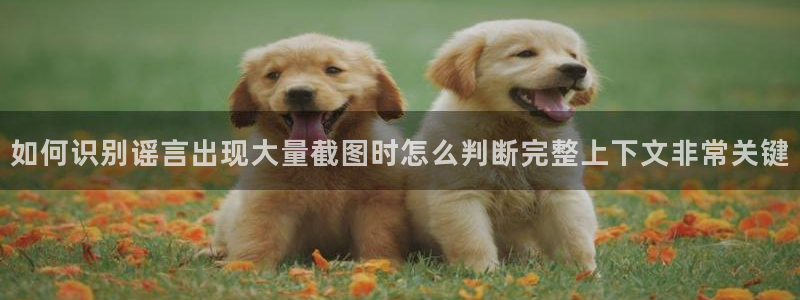 黑料事件当事人回应